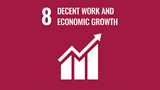 可持续发展目标8:促进可持续、包容和可持续的经济增长、充分和生产性就业以及人人享有体面工作
